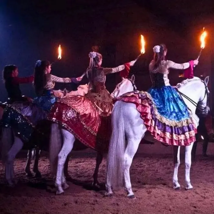 spectacle de chevaux camarguais au théâtre Camarkas aux saintes maries de la mer dans les bouches du Rhône