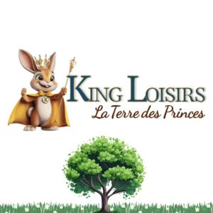 Accrobranche à Saint-Rémy-de-Provence