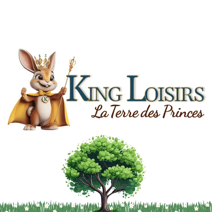 Accrobranche à Saint-Rémy-de-Provence