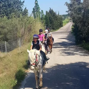 Balade à cheval et en poney au écurie des pivoines à Martigues dans les bouches du rhône
