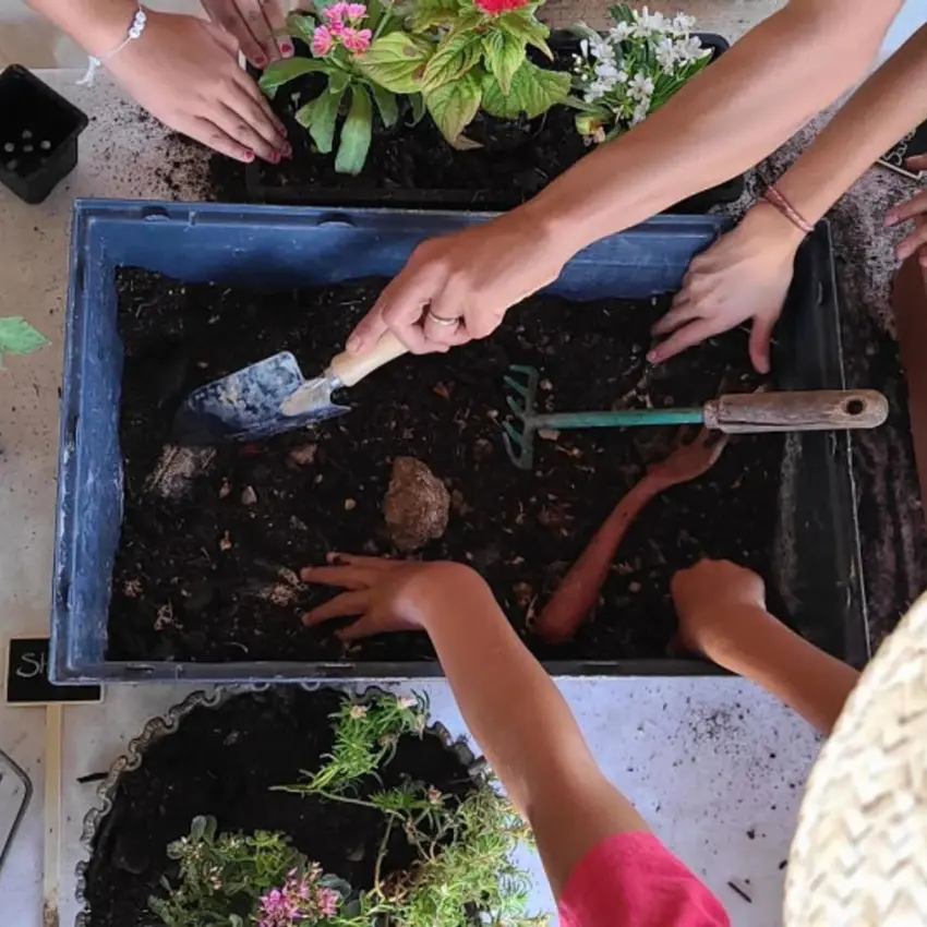 Atelier pour enfant à auriol, réalise ta jardinière aromatique avec the place to kids